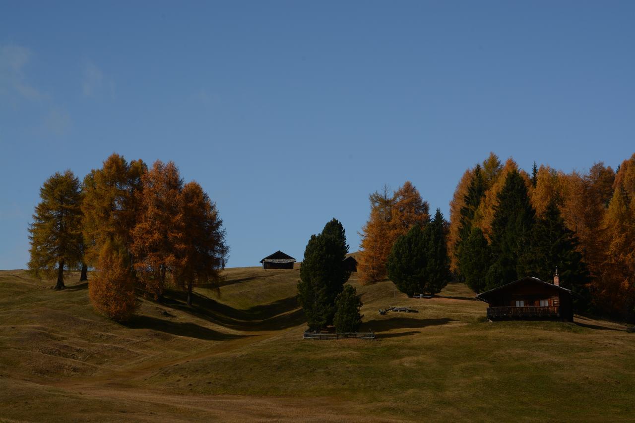 Dolomites B&B - Suites, Apartments And Spa Tesero Exteriér fotografie